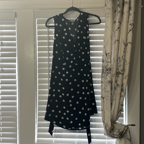 Blue Polkadot Dress with a Tie - Picture 4 of 4